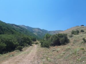Photo hiking trails in Apuseni
