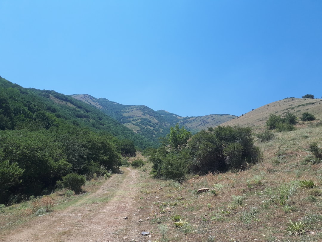Photo hiking trails in Apuseni
