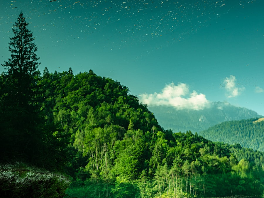 peisaje naturale din lume