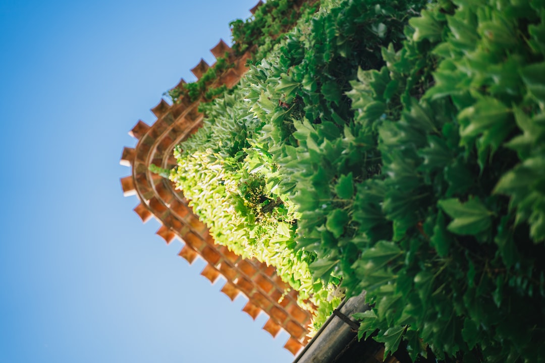 Photo medieval cities