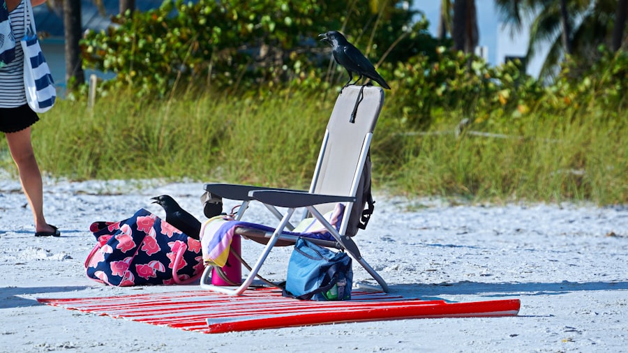 vacation budget optimization