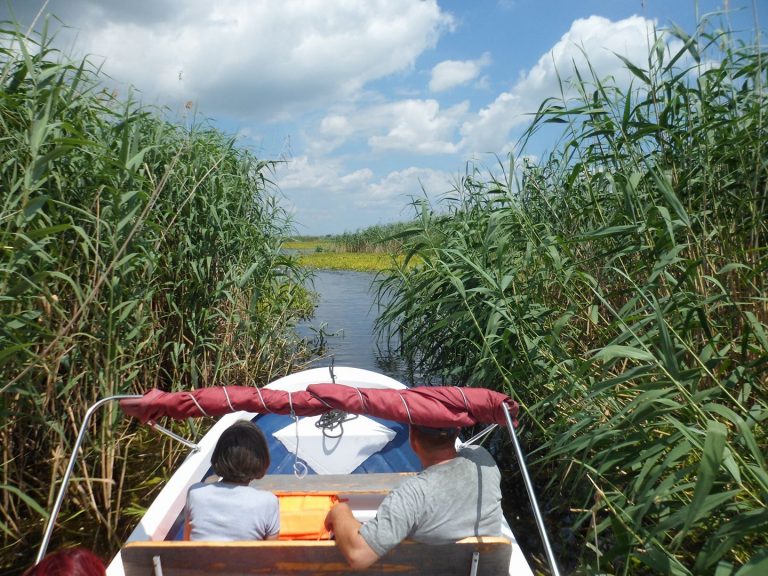 Avantajele închirierii unei bărci private în Delta Dunării