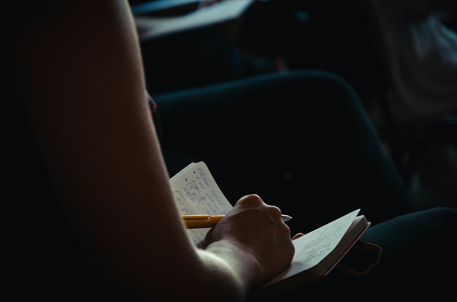 jurnal de călătorie