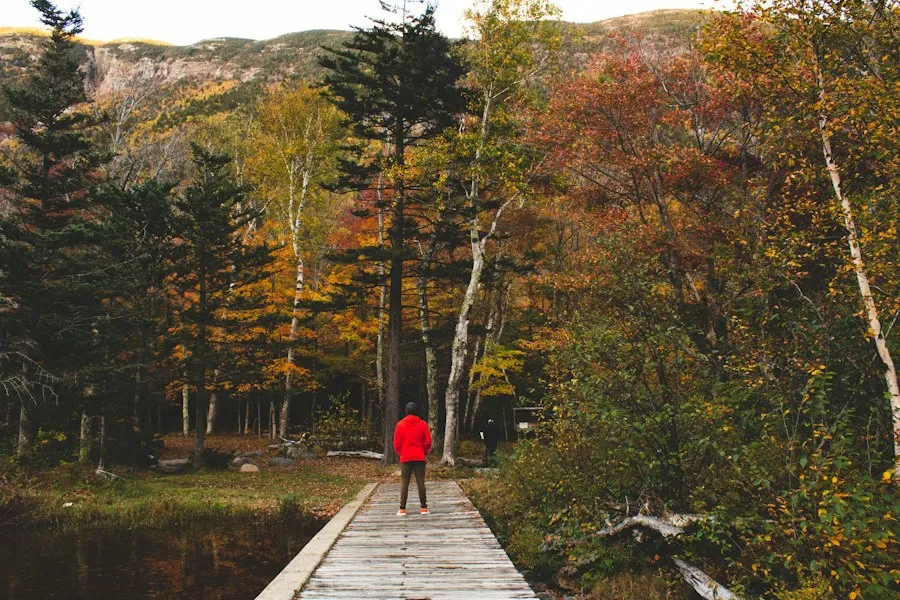 Photo weekend nature getaway tips
